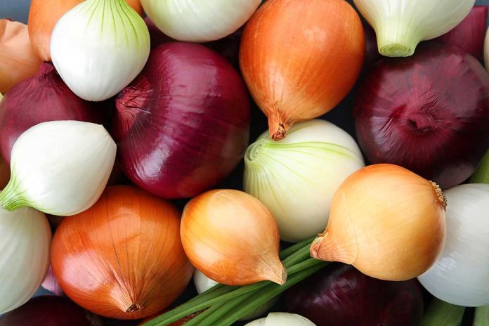 Onions Linked to Massive Outbreak in 37 States