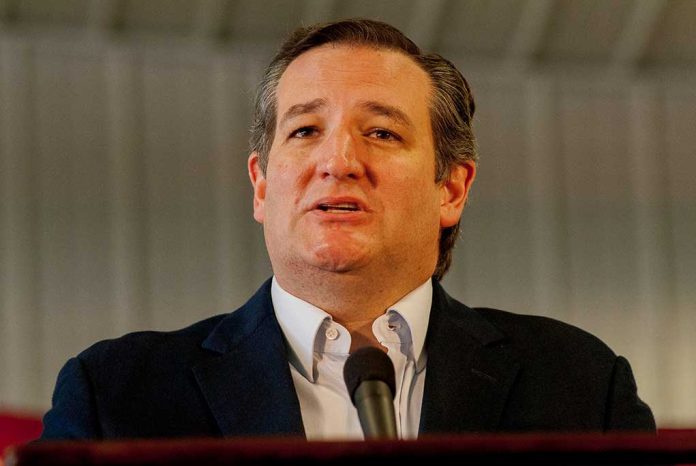 Ted Cruz Reveals Why He's Standing Up to Biden's Agenda