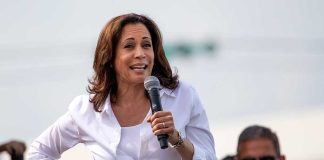 Kamala Can't Get Anything Done Because She's Always Playing "Wordle"